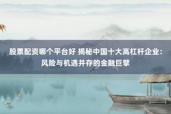 股票配资哪个平台好 揭秘中国十大高杠杆企业：风险与机遇并存的金融巨擘