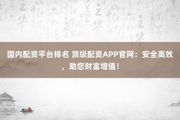 国内配资平台排名 顶级配资APP官网：安全高效，助您财富增值！