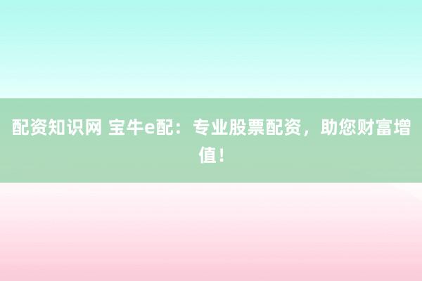 配资知识网 宝牛e配：专业股票配资，助您财富增值！