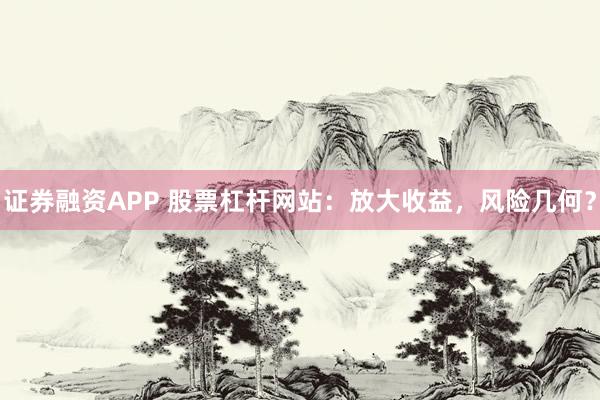 证券融资APP 股票杠杆网站：放大收益，风险几何？