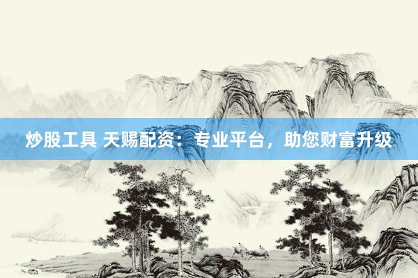 炒股工具 天赐配资：专业平台，助您财富升级