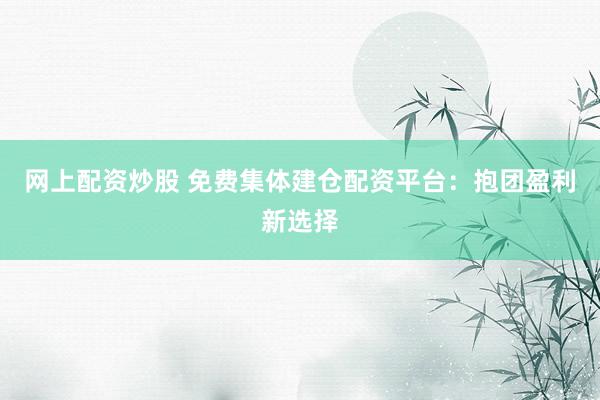 网上配资炒股 免费集体建仓配资平台：抱团盈利新选择