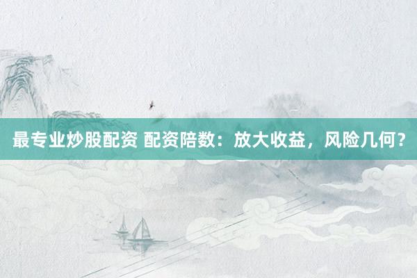 最专业炒股配资 配资陪数：放大收益，风险几何？