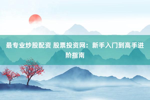 最专业炒股配资 股票投资网：新手入门到高手进阶指南