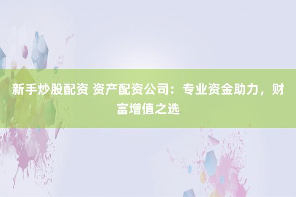 新手炒股配资 资产配资公司:专业资金助力,财富增值之选