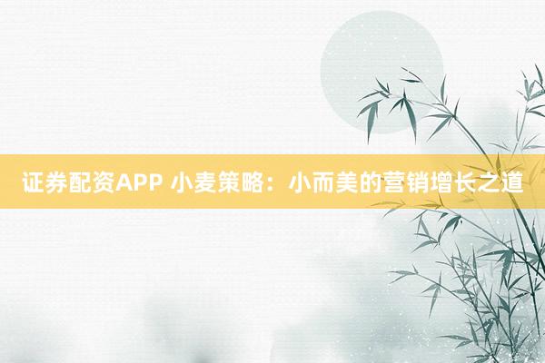 证券配资APP 小麦策略：小而美的营销增长之道