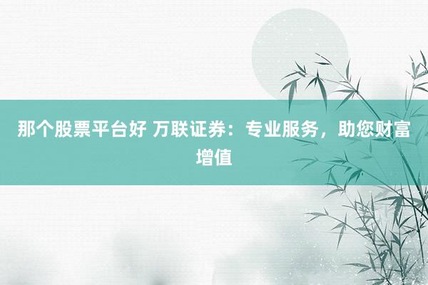 那个股票平台好 万联证券：专业服务，助您财富增值