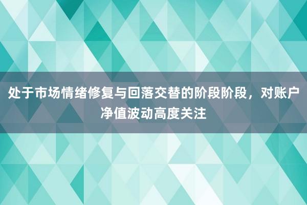 处于市场情绪修复与回落交替的阶段阶段，对账户净值波动高度关注