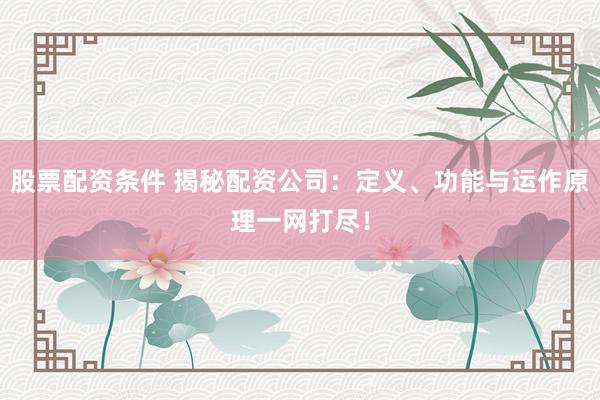 股票配资条件 揭秘配资公司：定义、功能与运作原理一网打尽！